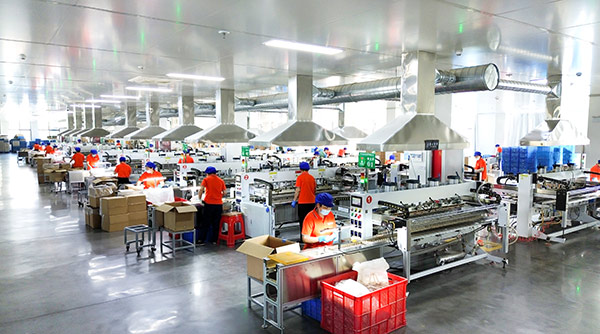 Complete Production Line
