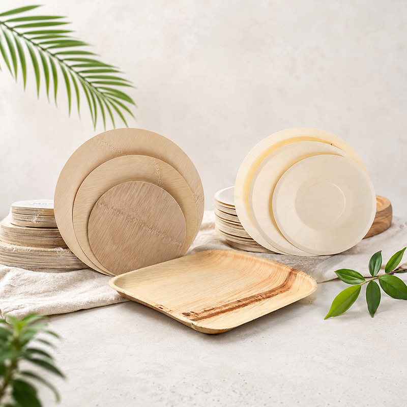 Introduction-to-Eco-Friendly-Disposable-Tableware.jpg