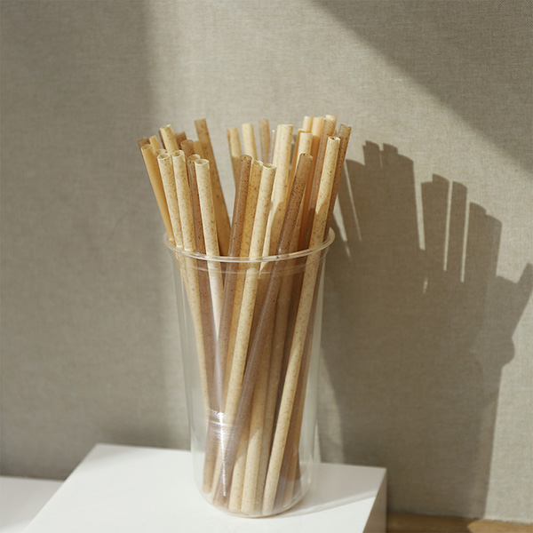 sugarcane-straws
