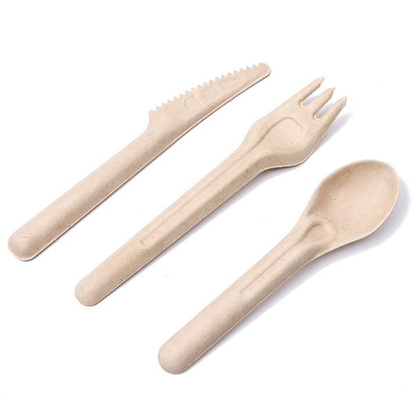 bagasse-cutlery