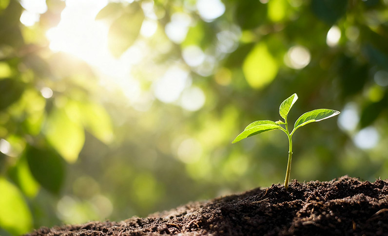 Environmental-Impact