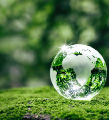 sustainability