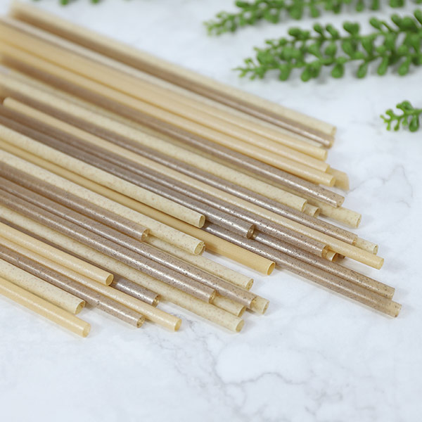 sugarcane-straws
