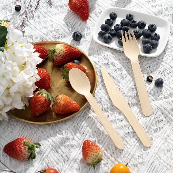 disposable-wooden-cutlery