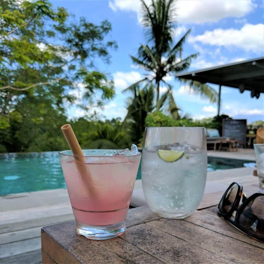 Top 10 Compostable Straw Manufacturer in the World