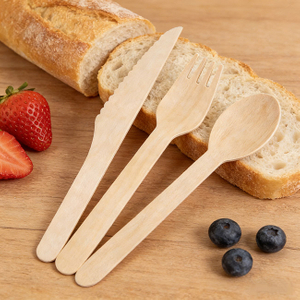 Best-Disposable-Cutlery-the-Ultimate-Guide.jpg