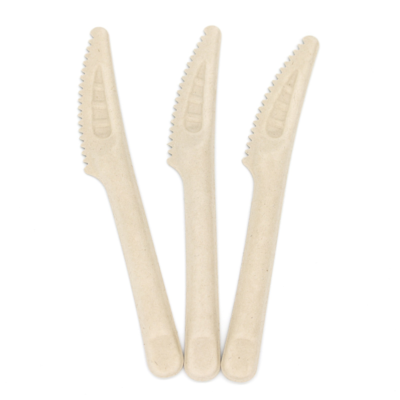 BAGASSE-knife.jpg