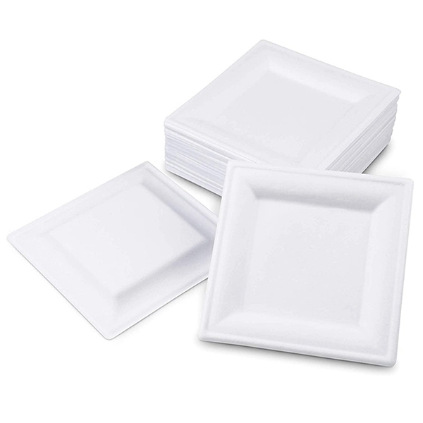 bagasse-plates