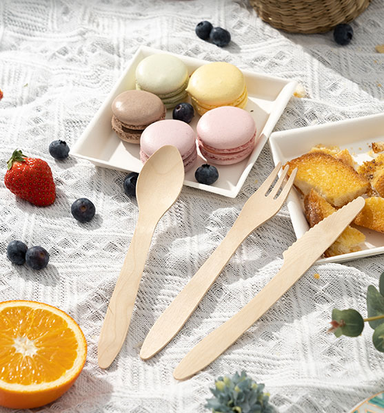 Biodegradable Cutlery Wholesale Guide (2026 Edition).jpg