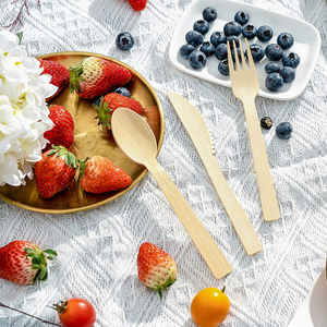 the-ultimate-guide-to-bamboo-disposable-cutlery.jpg