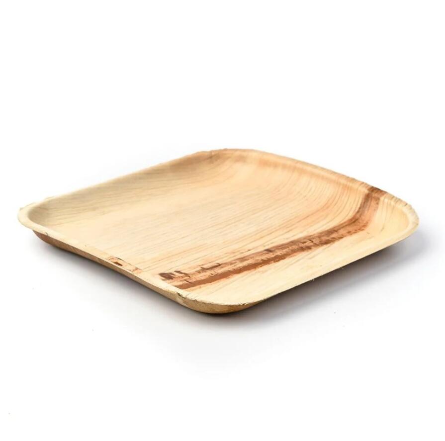 palm leaf plates.jpg