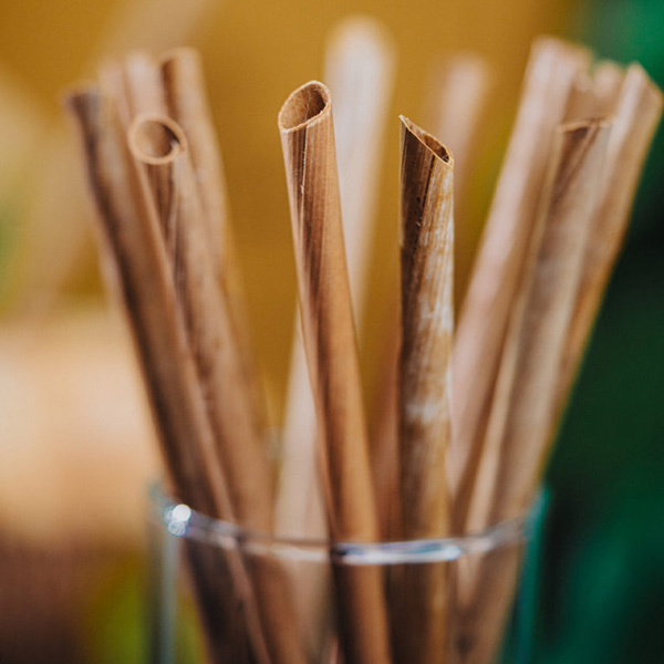 coconut-leaf-straw