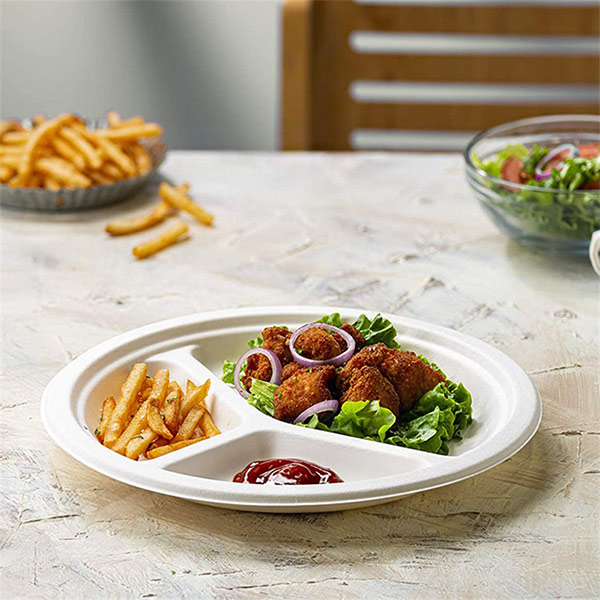 bagasse-plates-disposable