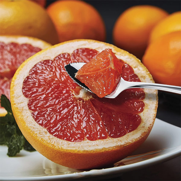 15 Different Types of Spoons and Their Uses