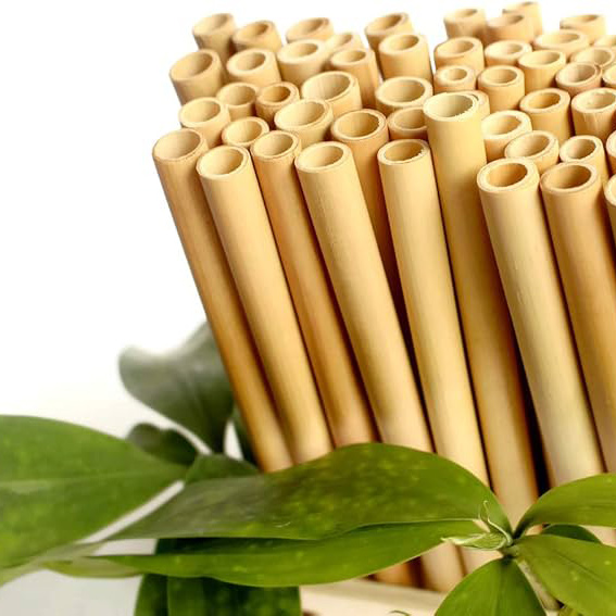 compostable-straws
