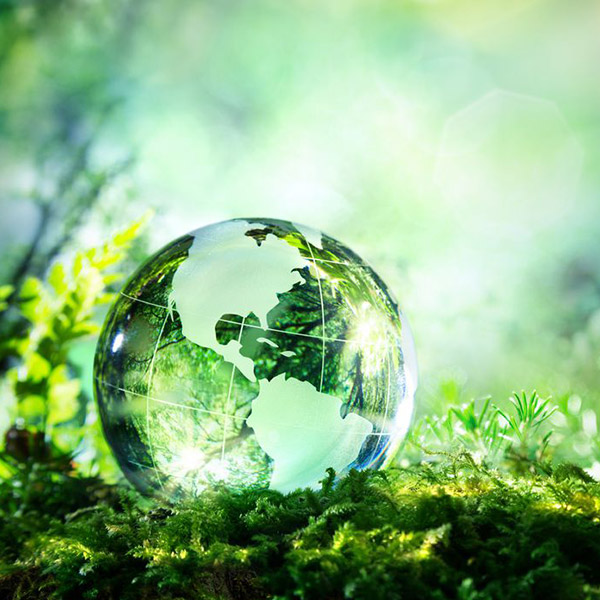 Sustainability-&-Environmental-Impact