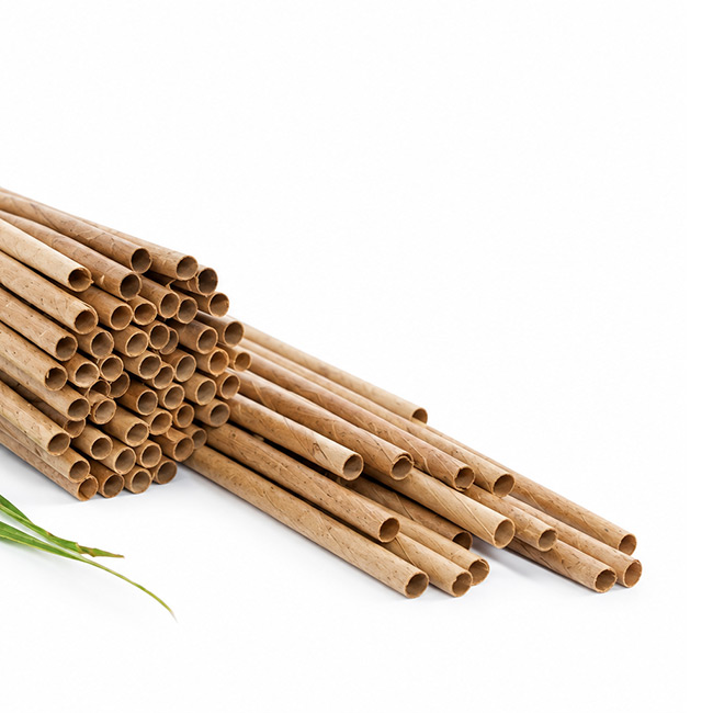 Palm-Leaf-Drinking-Straw.jpg
