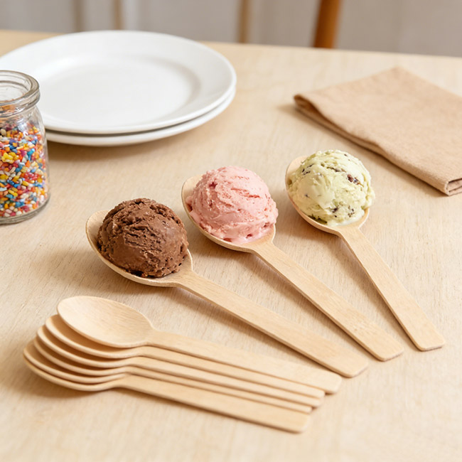 Biodegradable Spoons 2026 The Complete Guide.jpg