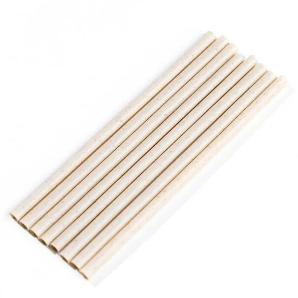 Coconut-based-straw.jpg